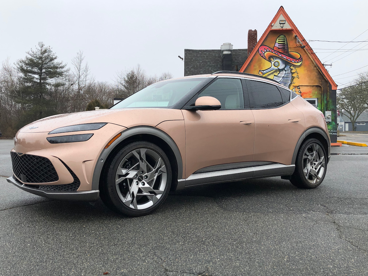 Finding a Sustainable Future in the Genesis GV60